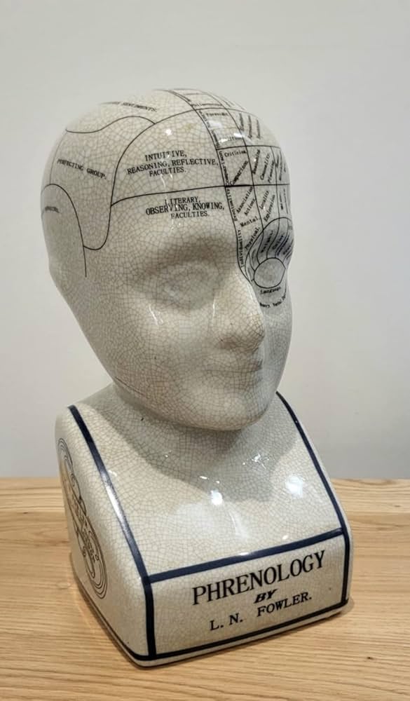 ACL Phrenology Head – Ceramic Ornament Collectable Retro
